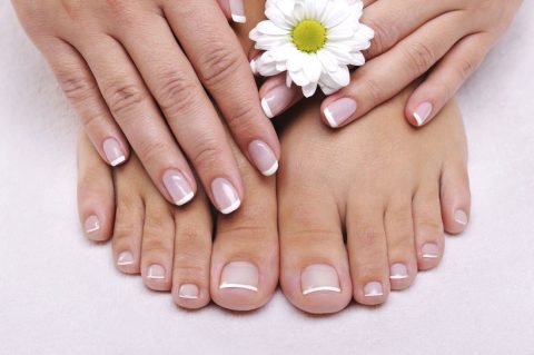 Jelena Vassiljeva